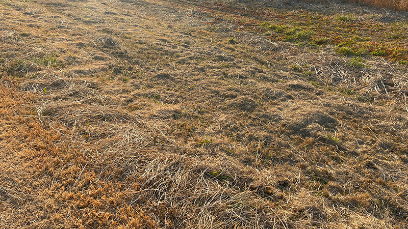 北浦よ今夜も有難う&hellip;&hellip;2026年初釣りはヘラブナ釣り