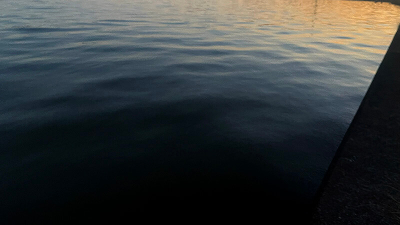 北浦よ今夜も有難う&hellip;&hellip;2026年初釣りはヘラブナ釣り