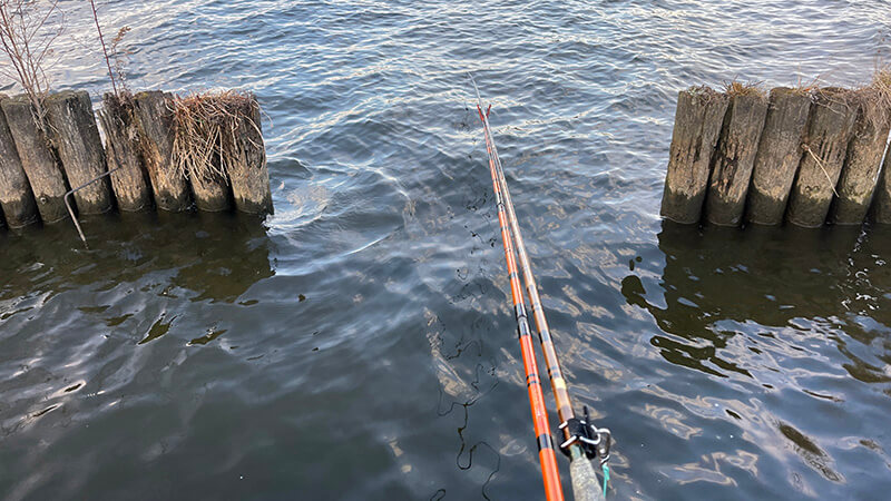 黒部川へ!真冬の夜は氷点下…極寒の中、ヘラブナ夜釣りしてみた