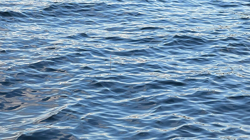 黒部川へ!真冬の夜は氷点下…極寒の中、ヘラブナ夜釣りしてみた