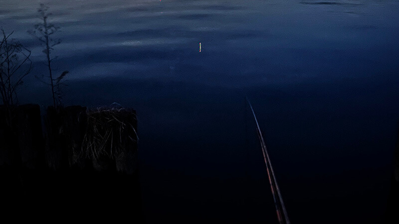 黒部川へ!真冬の夜は氷点下…極寒の中、ヘラブナ夜釣りしてみた