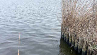 黒部川でヘラブナ釣りするも不発で結局ナイターな冬