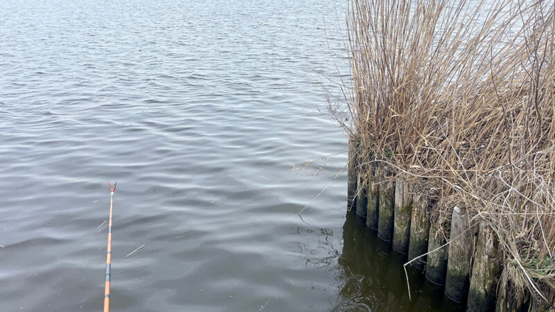 黒部川でヘラブナ釣りするも不発で結局ナイターな冬