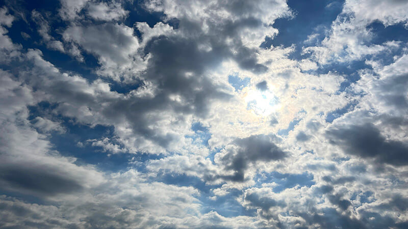雲が広がる晴天の空を見上げた釣行日の風景