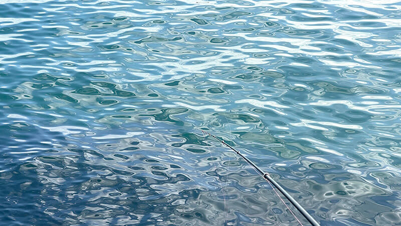 サヨリを狙って竿を出してみたものの&hellip;&hellip;