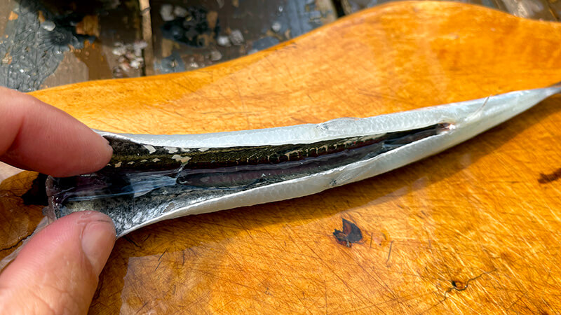 開いたサヨリの腹骨まわりを指で示している下処理工程