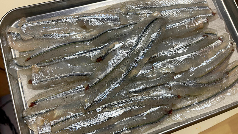 刺身用に並べたサヨリの柵をトレーに広げた様子