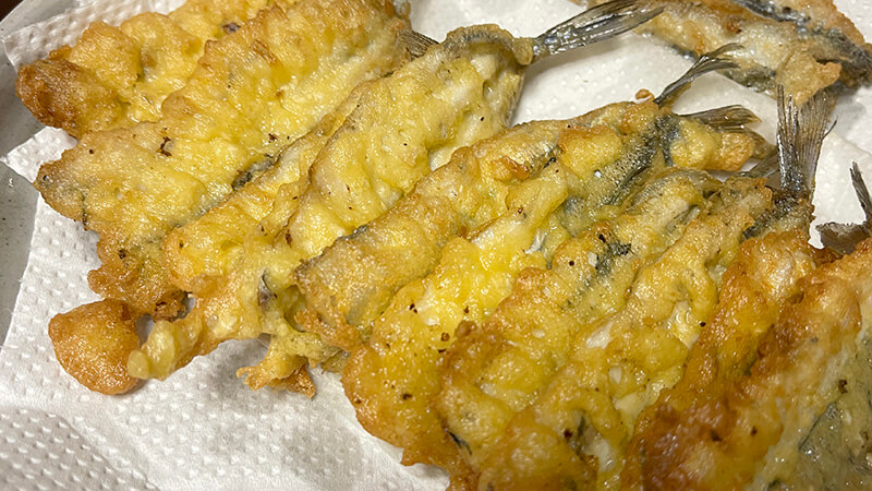 揚げたてのサヨリ天ぷらをキッチンペーパーに置いた状態