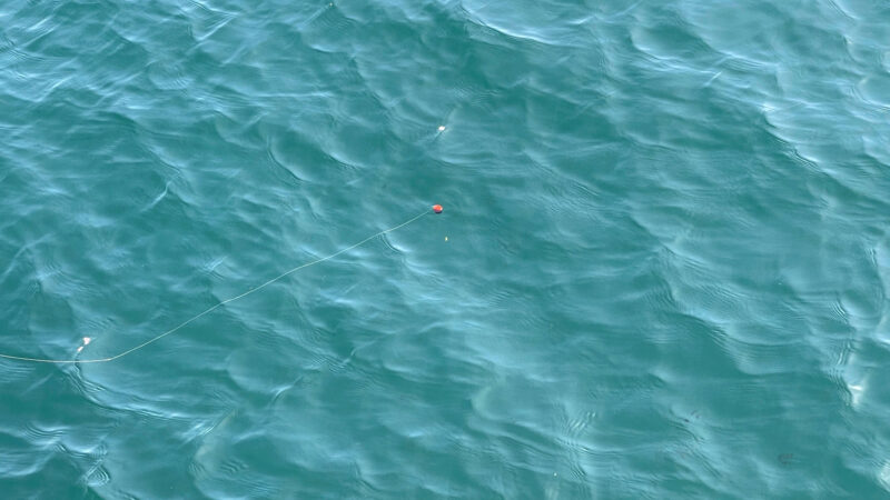 青い海面に浮く小型ウキと仕掛けの流れ