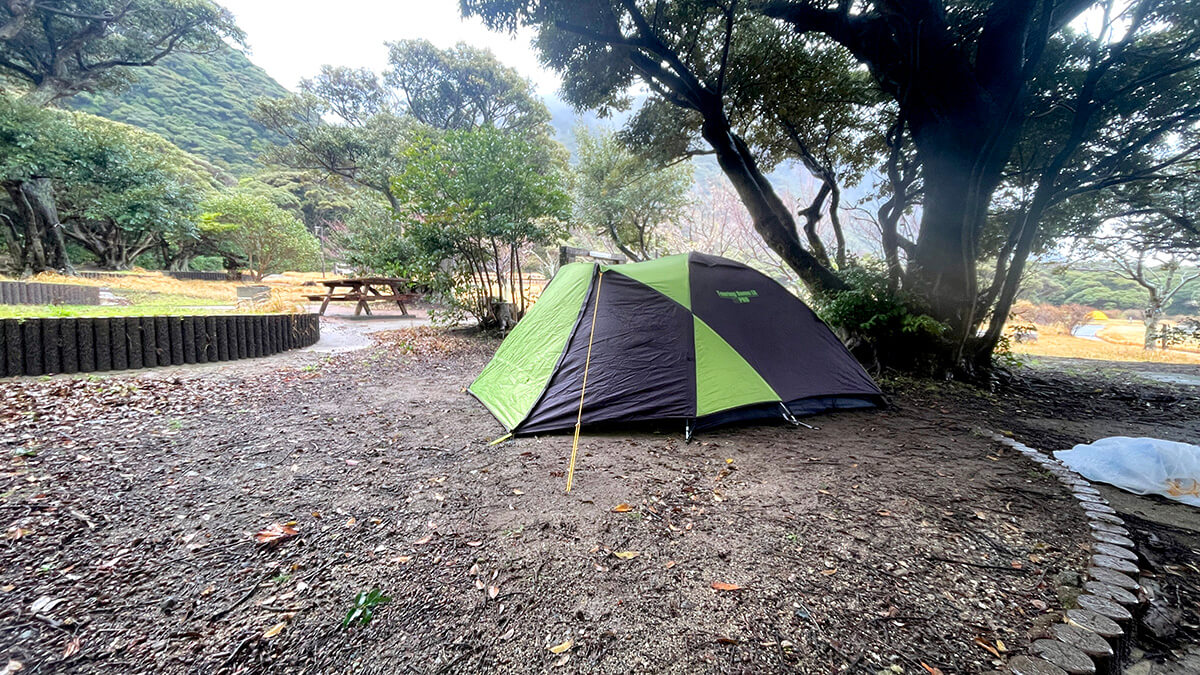 木立のそばに張ったテントと6年ぶりの羽伏浦キャンプ場