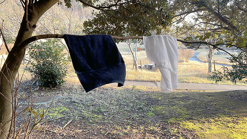 朝のキャンプ場でタオルを干して整える島の生活