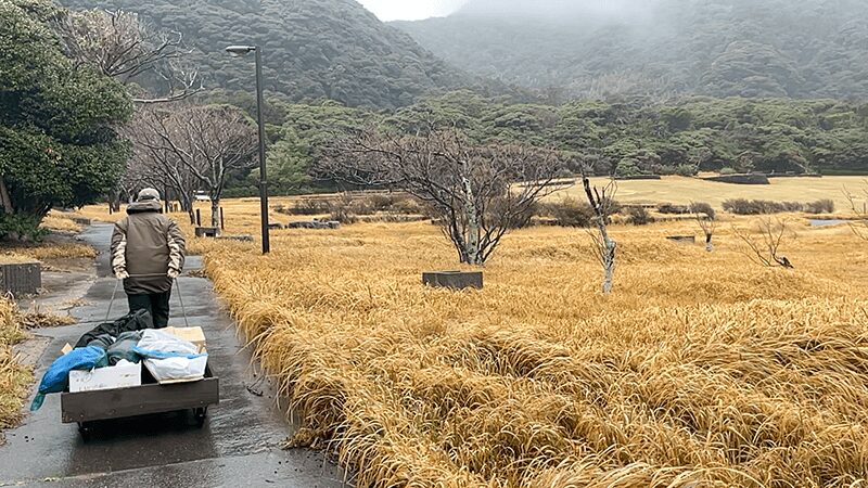 手作りキャリーで荷物を運ぶ羽伏浦キャンプ場の設営風景