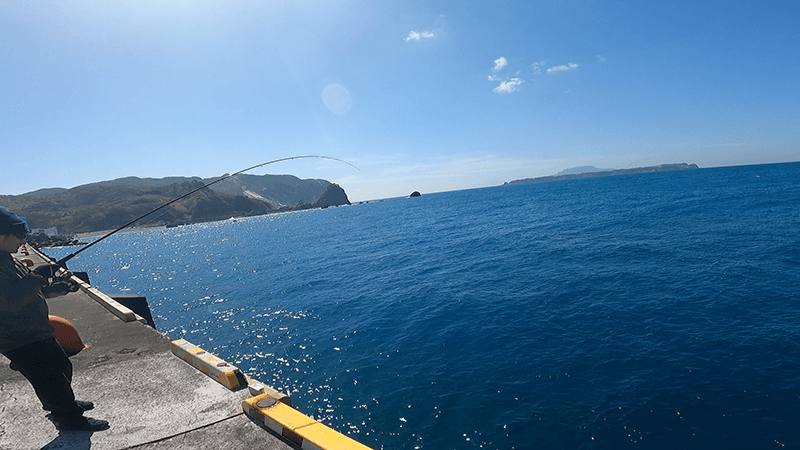 新島港で並んで竿を出す2日目の午前