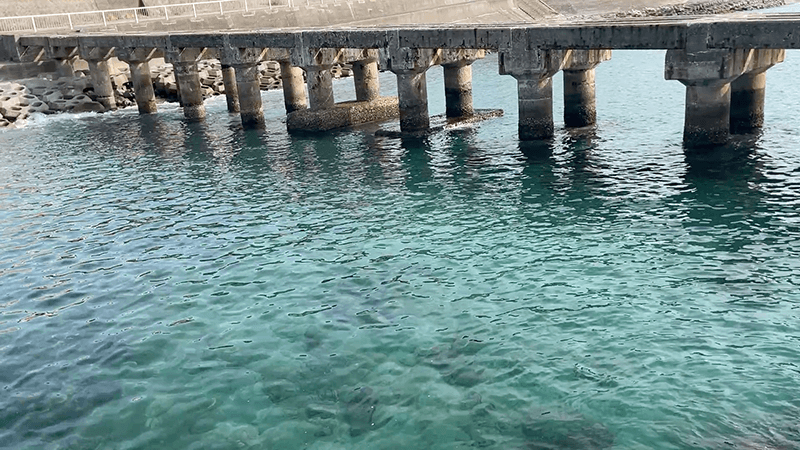 前浜海岸の透明な海と穴あきの桟橋