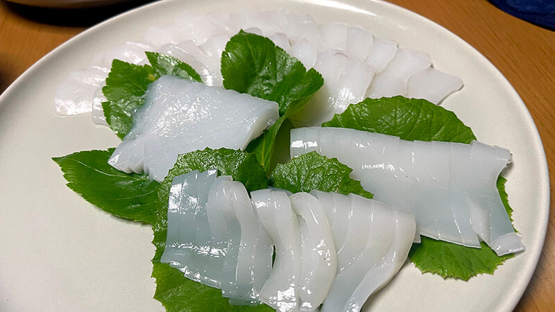 大葉にのせたアオリイカとケンサキイカの刺身