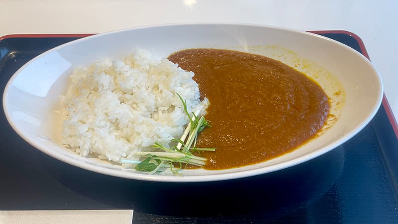 さるびあ丸のレストランで食べたカレーライス