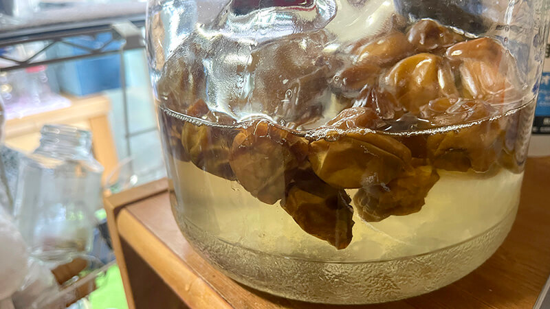 ガラス瓶の中で梅酢に浸かった自家製梅干し