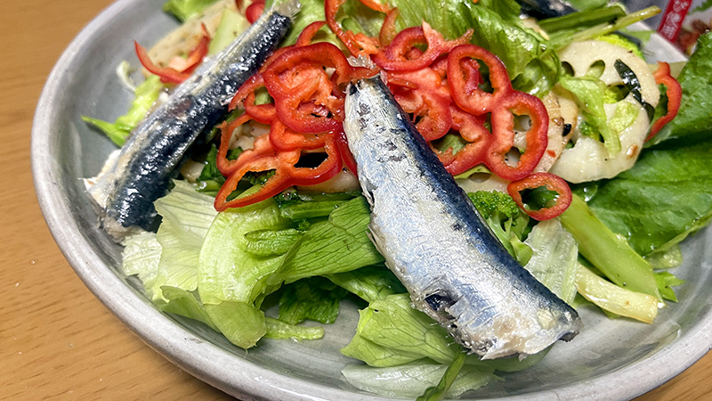 家庭菜園で採れた野菜でサラダ