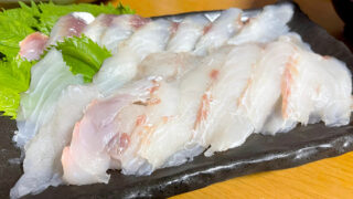 釣ったマゴチ料理まとめ｜刺身・煮付け・あら汁まで食べ尽くす