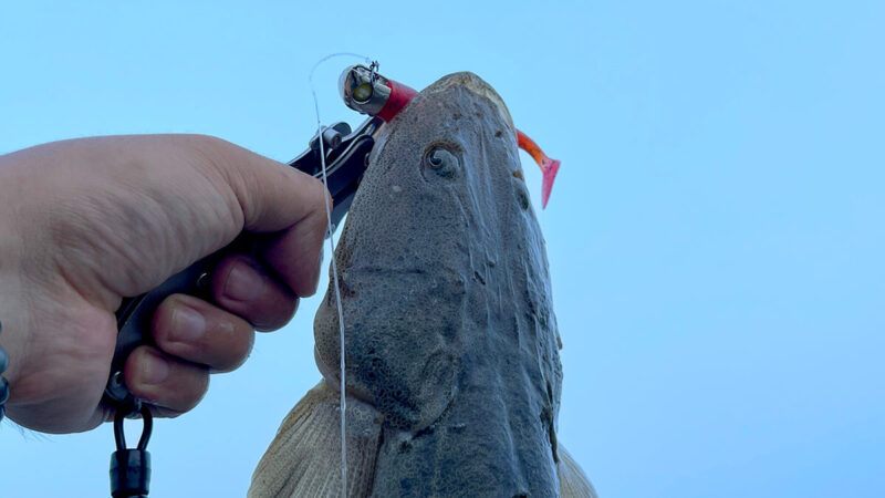 鹿島灘サーフで良型マゴチ55cm！ジョルティのボトムパンプ釣行記