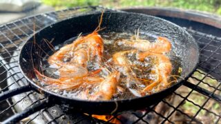 梅雨の晴れ間にテナガエビ釣り！マゴチも釣れて、素揚げと唐揚げの庭ランチ