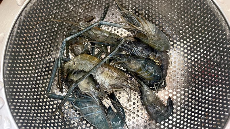 苦戦しながら釣ったテナガエビを入れた金属製のざる