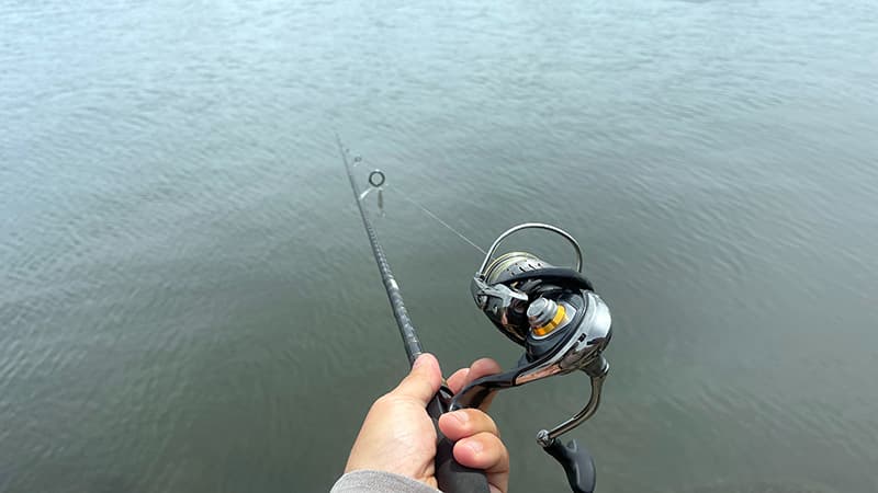 テナガエビが釣れず汽水域でルアーを投げる様子