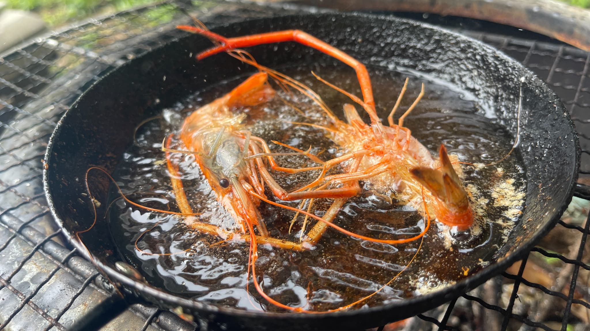 油へ入れると朱色に変わっていくテナガエビ