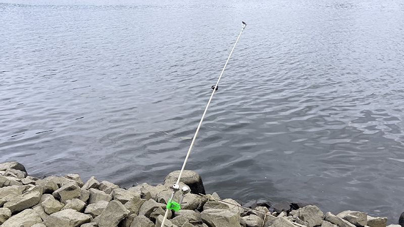 テナガエビを餌にウナギ釣り!鈴が鳴った夕暮れとマゴチの煮付け