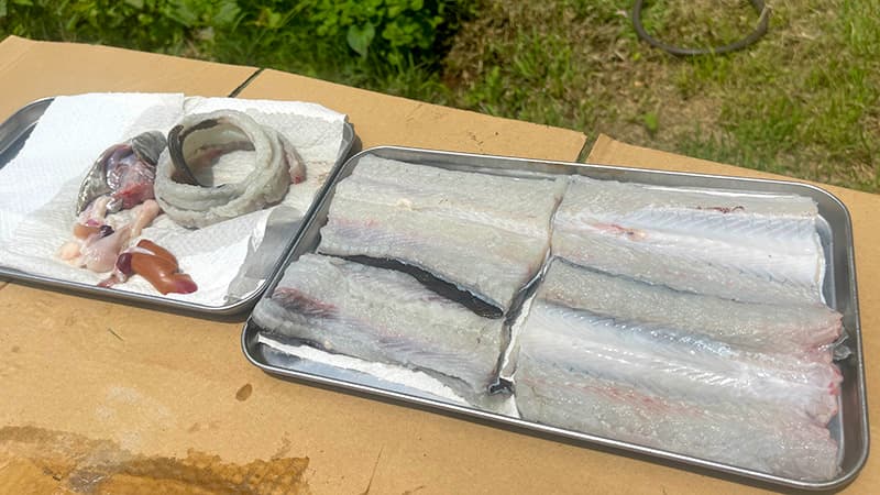 蒲焼用の身とタレに使うウナギの背骨と頭