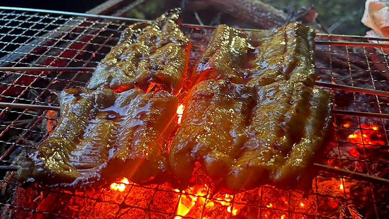 タレを重ねて艶よく焼き上がった天然ウナギの蒲焼
