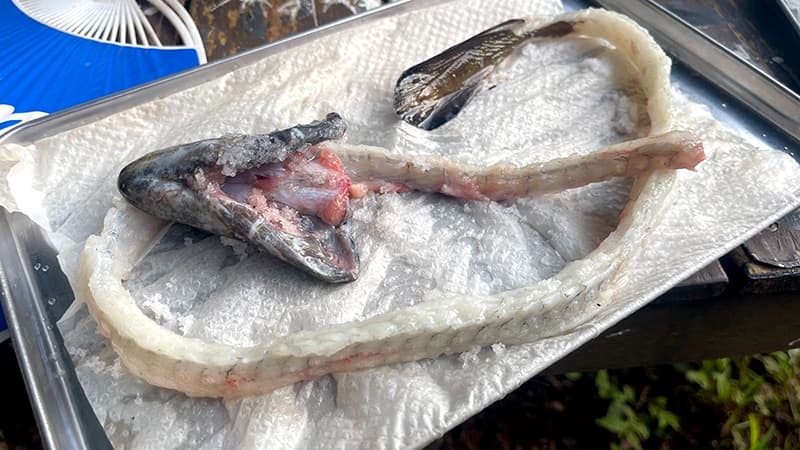 塩を振って余分な水分を出したウナギの背骨と頭