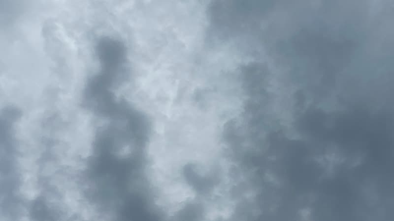 7月中旬の汽水域に広がる薄曇りの空