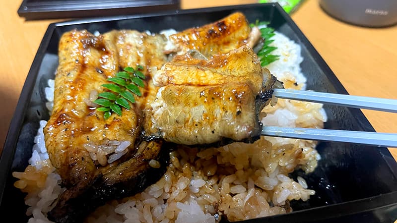 箸で持ち上げた脂ののった天然ウナギの蒲焼