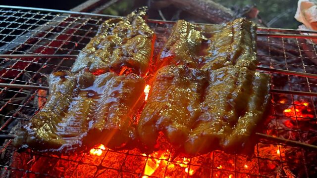 釣った天然ウナギで鰻重！関東風の蒲焼と肝吸いで自作丑の日
