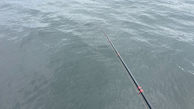 夏の午後に海へ向けた赤いヘチ竿