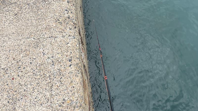 岸壁の際をカニ餌で探ったヘチ釣り