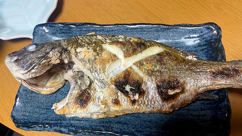 しっかり塩を振って焼き上げた、小さいほうのチヌの焼き魚