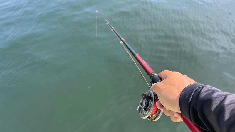初めてのヘチ釣りで太鼓リールを構えて海面を見下ろすところ
