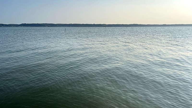 昼過ぎの北浦。沖に杭が並び、広い水面が続いている