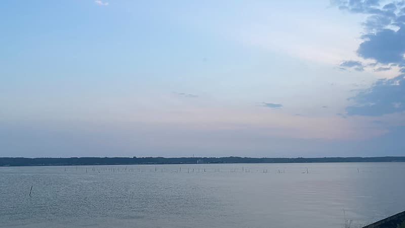 陽が傾いて淡いピンク色になった、北浦の夕暮れの水面
