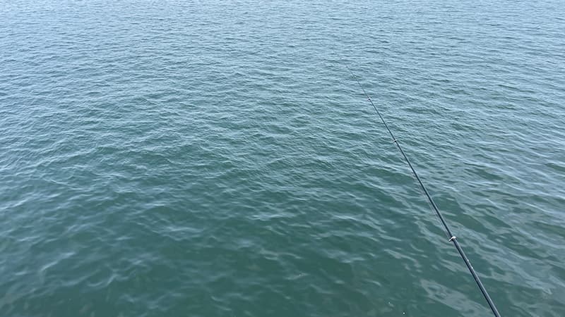 磯竿を出して、沖に入れたウキを見ながらのフカセ釣り