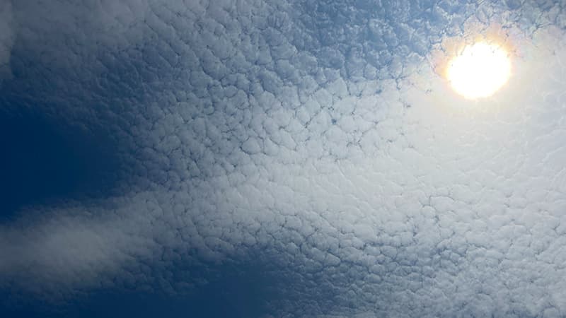 7月末の暑い日に広がった、うろこ雲と強い日差しの空