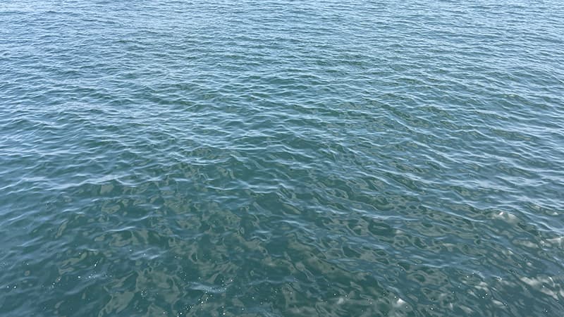 澄んだ水色が広がる、7月末の夏の海面のようす