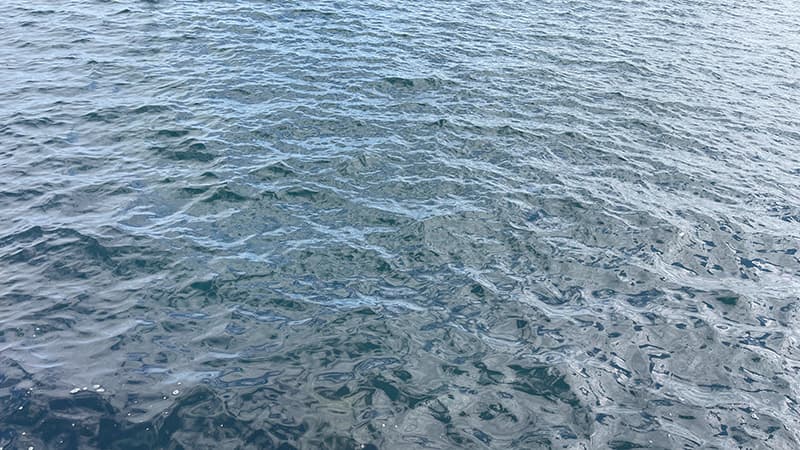 強風で細かく波立ち、白くテラテラと光る秋の海面