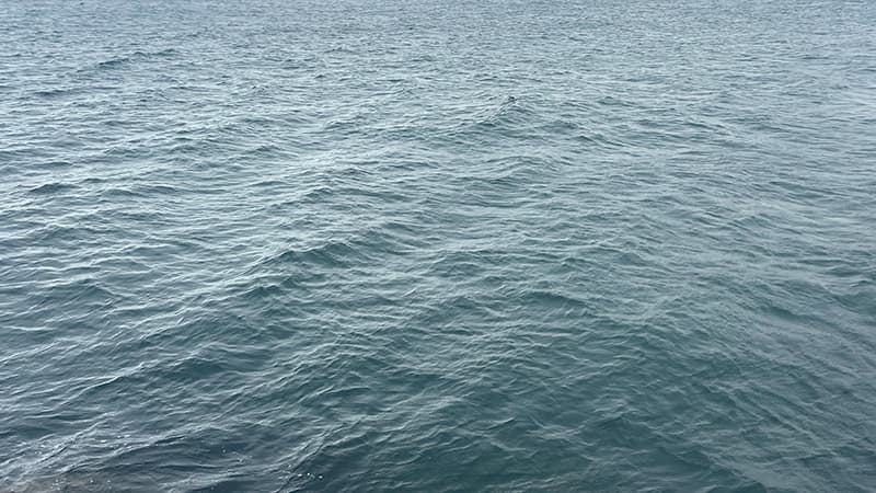 曇り空を映して灰色に見える海面。強風で細かく波立っている