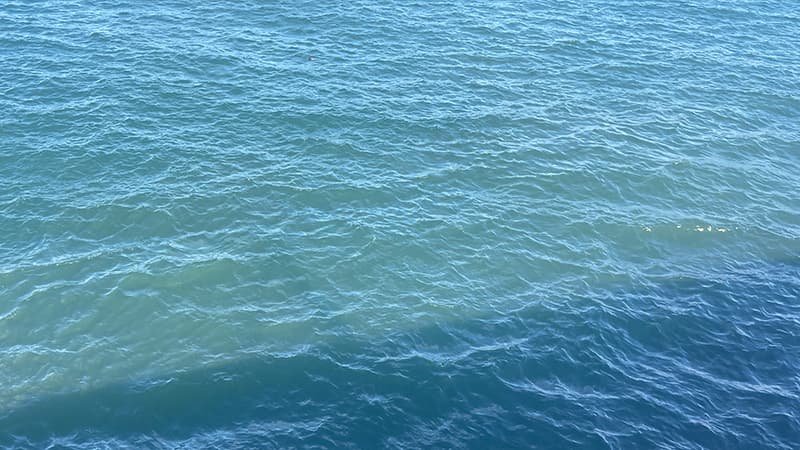 秋の晴れた日、風で細かく波立った青い海面