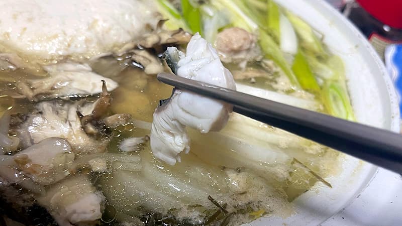 出汁に通したチヌの身を箸で持ち上げた黒鯛しゃぶしゃぶ