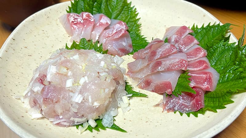 一日寝かせたチヌの刺身と、中落ちをネギと合わせたたたき