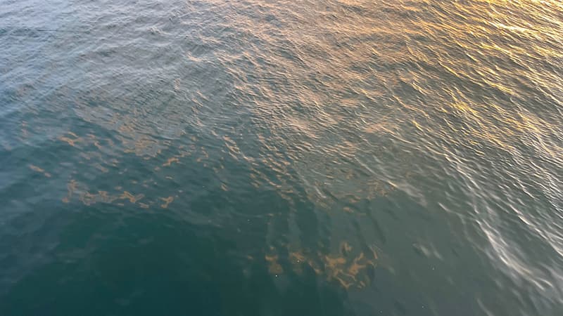 夕マズメにオレンジ色へうっすら染まりはじめた海面